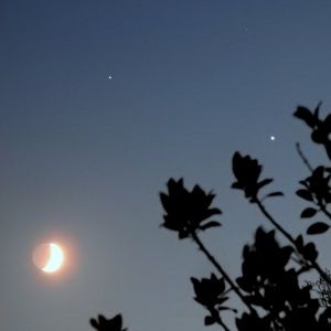 Meet your Posher, Rayo